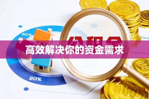 鱼池高效解决你的资金需求