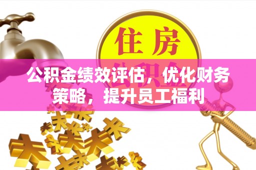 鱼池公积金绩效评估，优化财务策略，提升员工福利