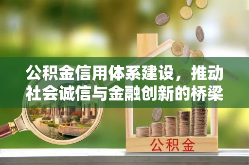 鱼池公积金信用体系建设，推动社会诚信与金融创新的桥梁