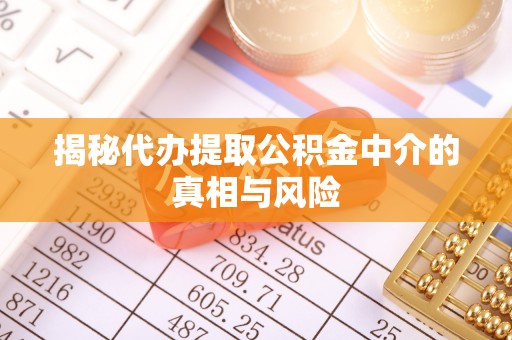 鱼池揭秘代办提取公积金中介的真相与风险