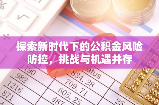 鱼池探索新时代下的公积金风险防控，挑战与机遇并存
