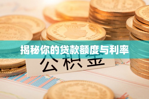 鱼池揭秘你的贷款额度与利率
