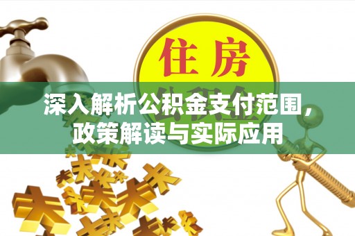 鱼池深入解析公积金支付范围，政策解读与实际应用