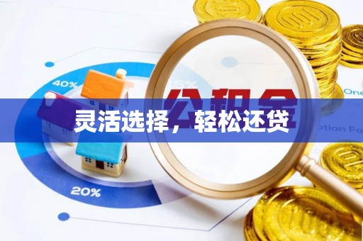 鱼池灵活选择，轻松还贷