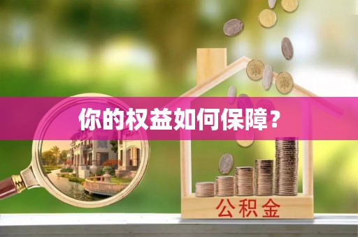 鱼池你的权益如何保障？