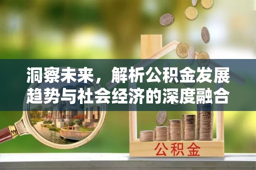鱼池洞察未来，解析公积金发展趋势与社会经济的深度融合