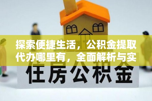 鱼池探索便捷生活，公积金提取代办哪里有，全面解析与实用指南