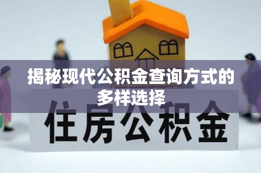 鱼池揭秘现代公积金查询方式的多样选择