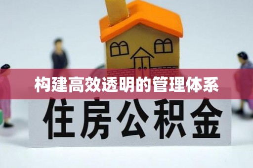 鱼池构建高效透明的管理体系