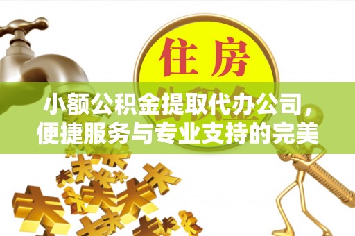 鱼池小额公积金提取代办公司，便捷服务与专业支持的完美结合