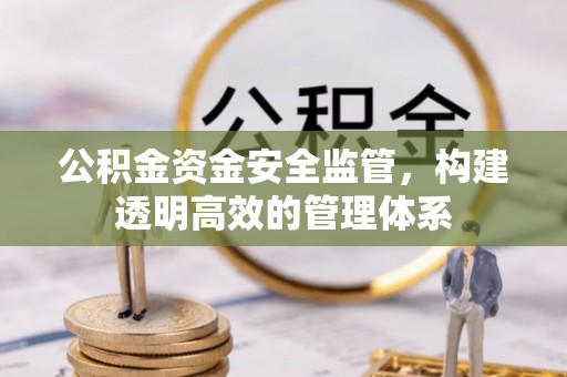 鱼池公积金资金安全监管，构建透明高效的管理体系