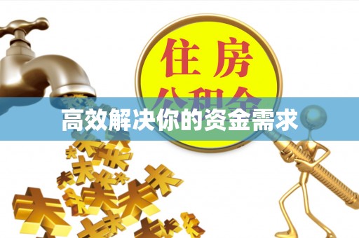 鱼池高效解决你的资金需求