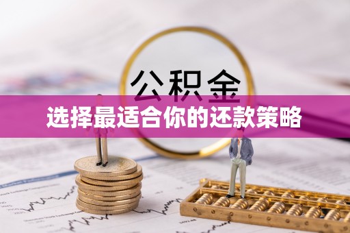 鱼池选择最适合你的还款策略