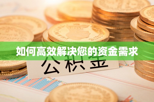 鱼池如何高效解决您的资金需求