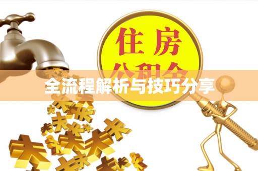 鱼池全流程解析与技巧分享